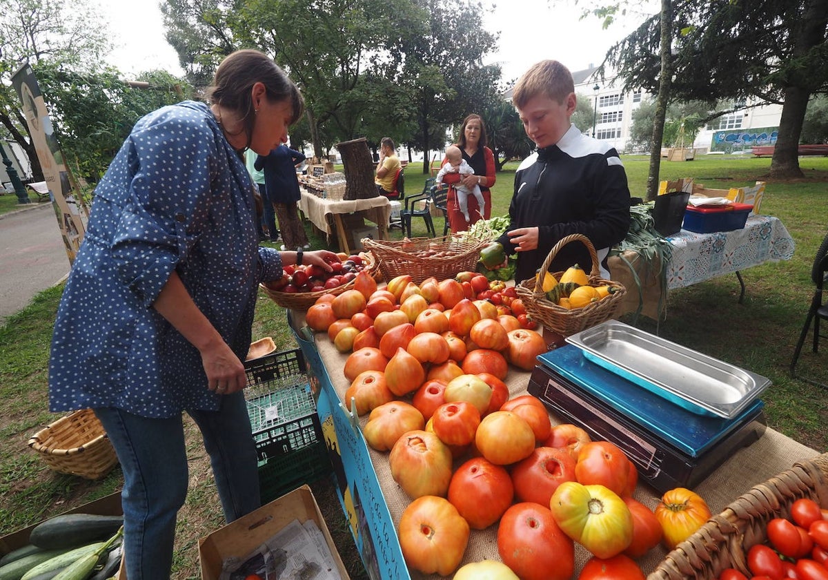 Uno de los puestos que participó en el Festival del Tomate el año pasado, en Torrelavega.