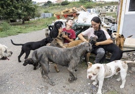 Naiara y Noelia forman parte del equipo de Asproan, en San Román de la Llanilla, y todos los días alimentan y cuidan a los perros.