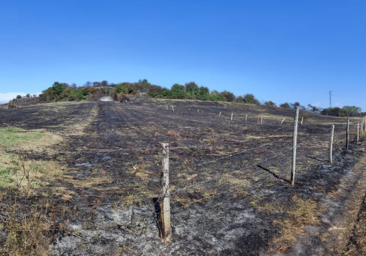 Los postes del terreno que se ha calcinado en la Hermandad de Campoo de Suso