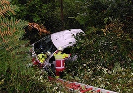Momento en el que los bomberos acceden hasta el vehículo de la mujer, rodeado de abundante vegetación.