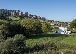 La vaguada de Las Llamas, por donde se ampliará el actual parque.