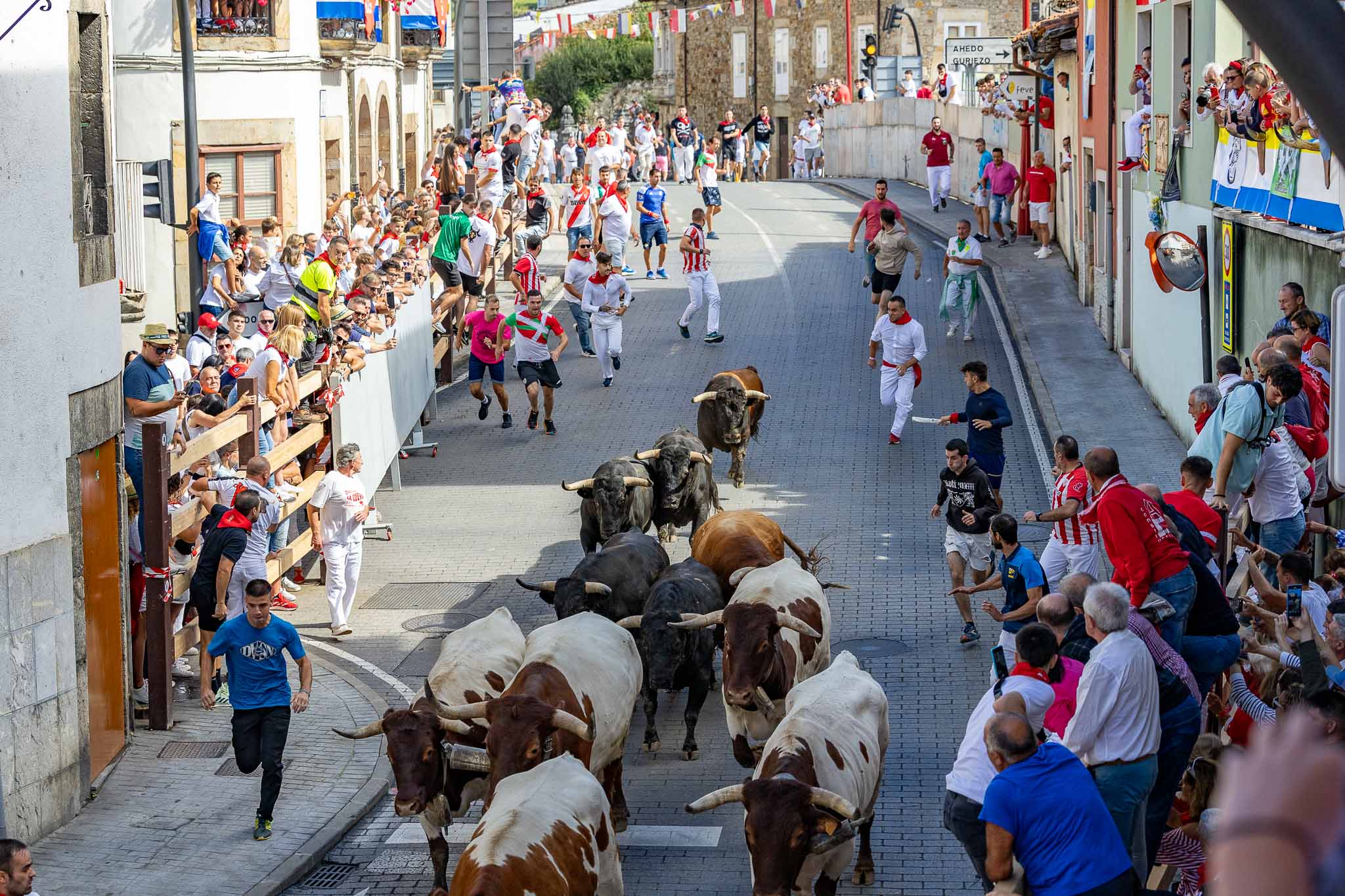 Seis reses bien presentadas, con cuajo y trapío, se hermanaron de salida con los bueyes en el segundo de los tres encierros de la fiestas.