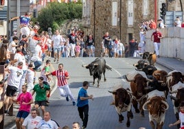 Momento de la carrera en el segundo encierro de Ampuero.