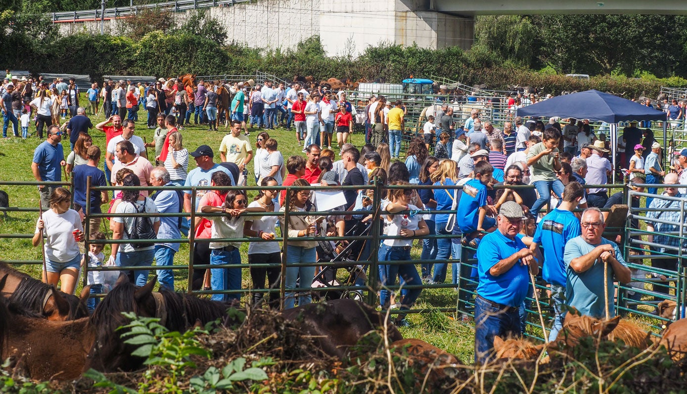 Al mediodía la feria se llenó de público, con afluencia similar a la de otros años, tanto en reses como en asistencia de ganaderías.