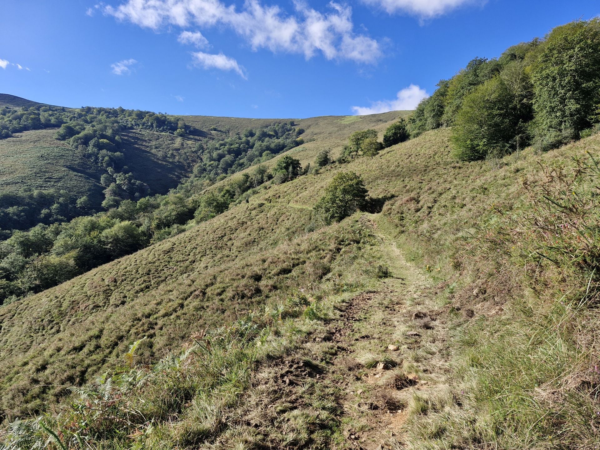 La senda, en mitad del monte.