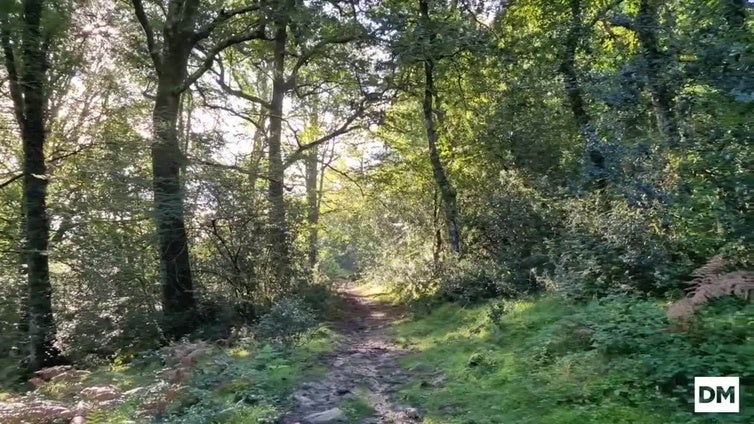 La Ruta de los Puentes