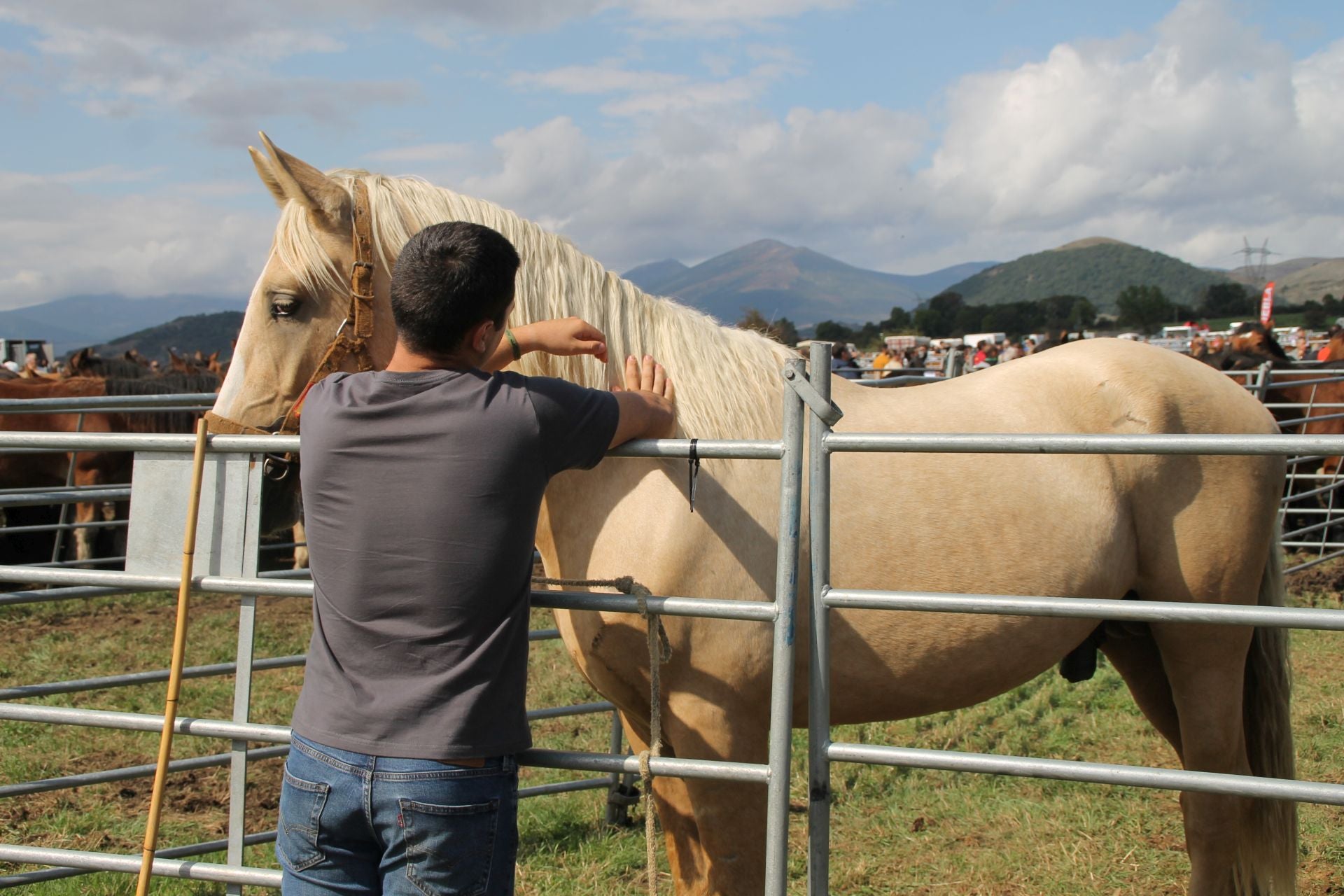 La feria destacó también por la presencia de muchos caballos de montura, como este macho bayo.