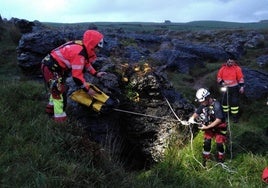 Los bomberos del 112 rescatan a un perro caído en una torca de tres metros y medio en Bareyo