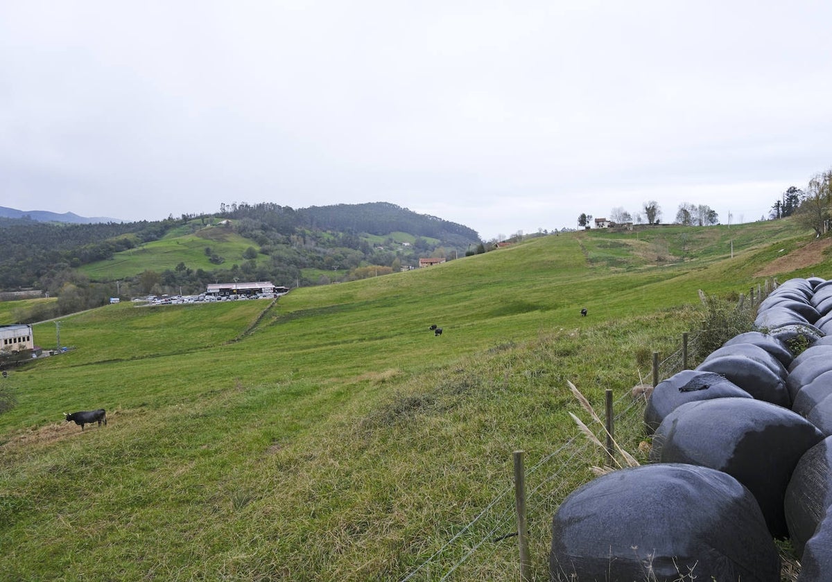 Finca de Cabezón de la Sal donde se planea la construcción del parque solar de Las Navas.