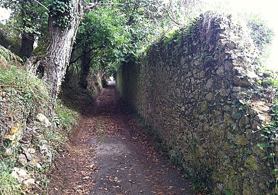 Camino actual del barrio Gracedo que se ampliará y acondicionará como senda peatonal.
