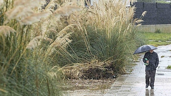 Objetivo: arrinconar al plumero en la costa cántabra