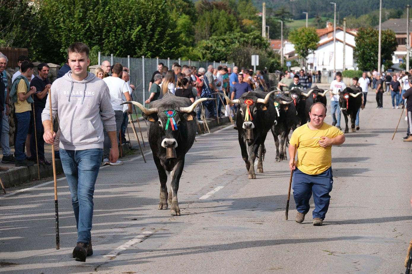 De Villanueva de Labarces, de Tama, de Novales, de Liérganes, de La Hayuela... Ganaderos y animales desde distintos puntos de Cantabria.