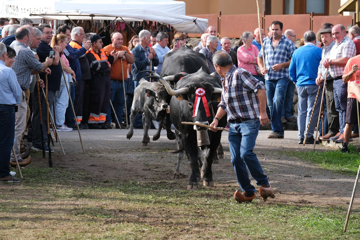 Momento de la llegada al recinto de Ontoria.