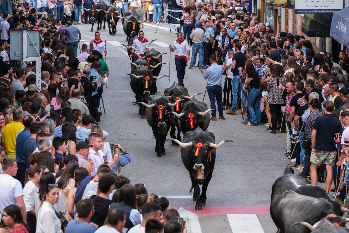 Miles de personas llenan las aceras para ver 'la pasá'.