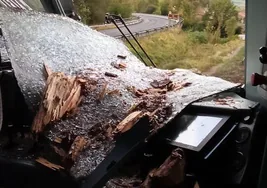 El maquinista herido tras chocar el tren contra un árbol: «Tenía toda la cara y los brazos llenos de sangre»