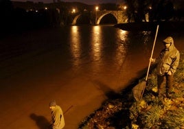 La angula se podrá pescar en Cantabria entre el 1 de noviembre y el 28 de febrero