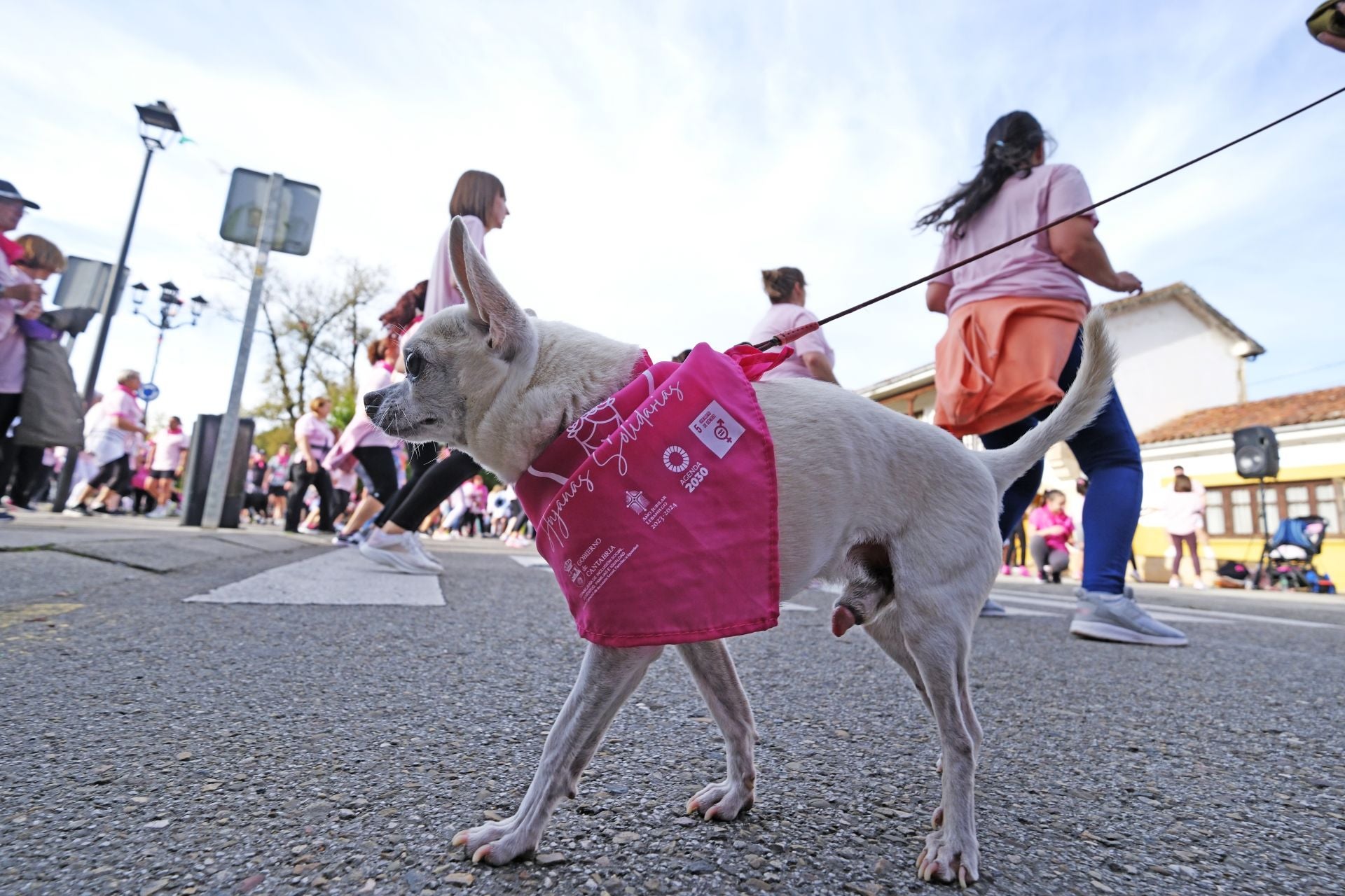 Búscate si has participado en la carrera en Reocín