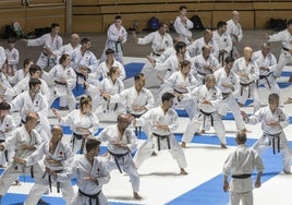 Mas de 800 deportistas participan en Santander en la segunda fase de la Liga Nacional de Karate