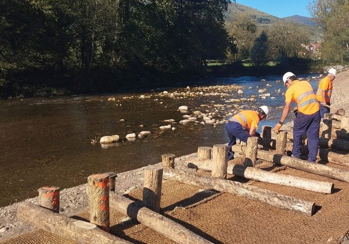 Bioingeniería para mejorar el cauce del río y evitar desbordamientos.