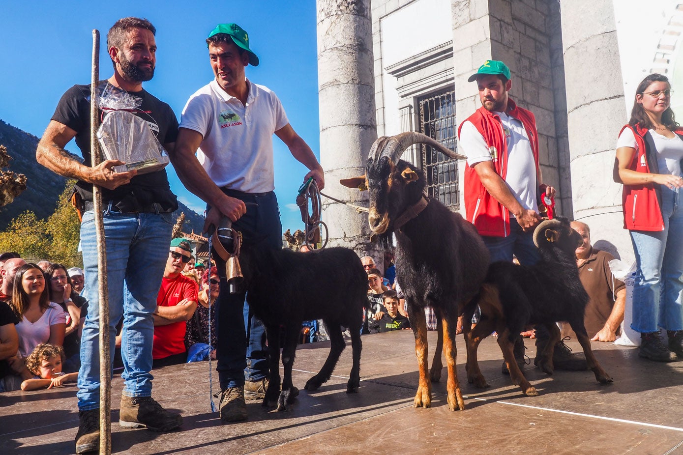 Ganador del certamen de cabras.