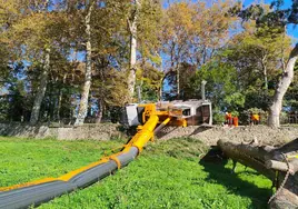 La grúa, tendida en el suelo, junto al árbol desplomado.