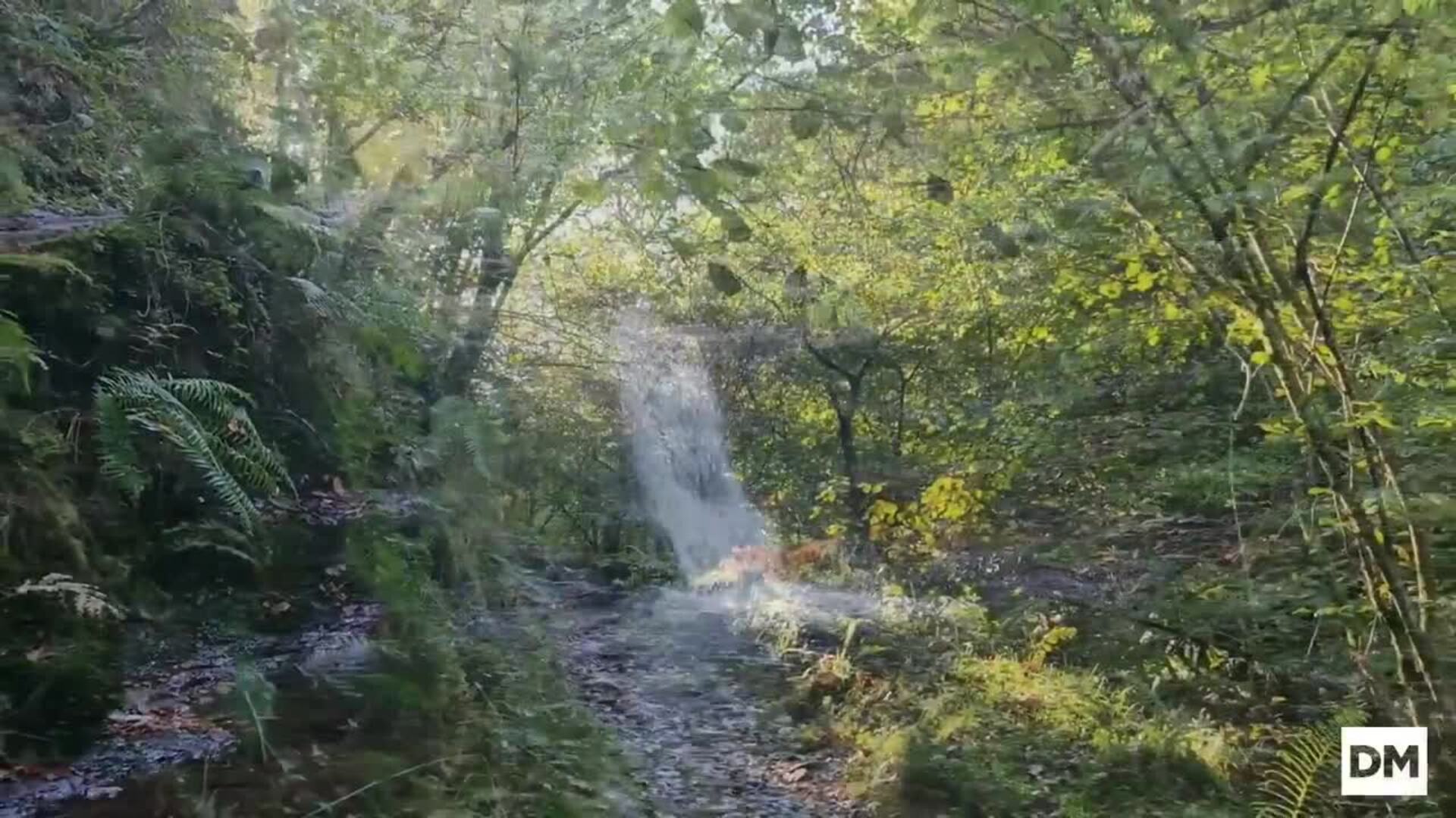 Juegos de agua y luces en la Canal de Las Tejeras