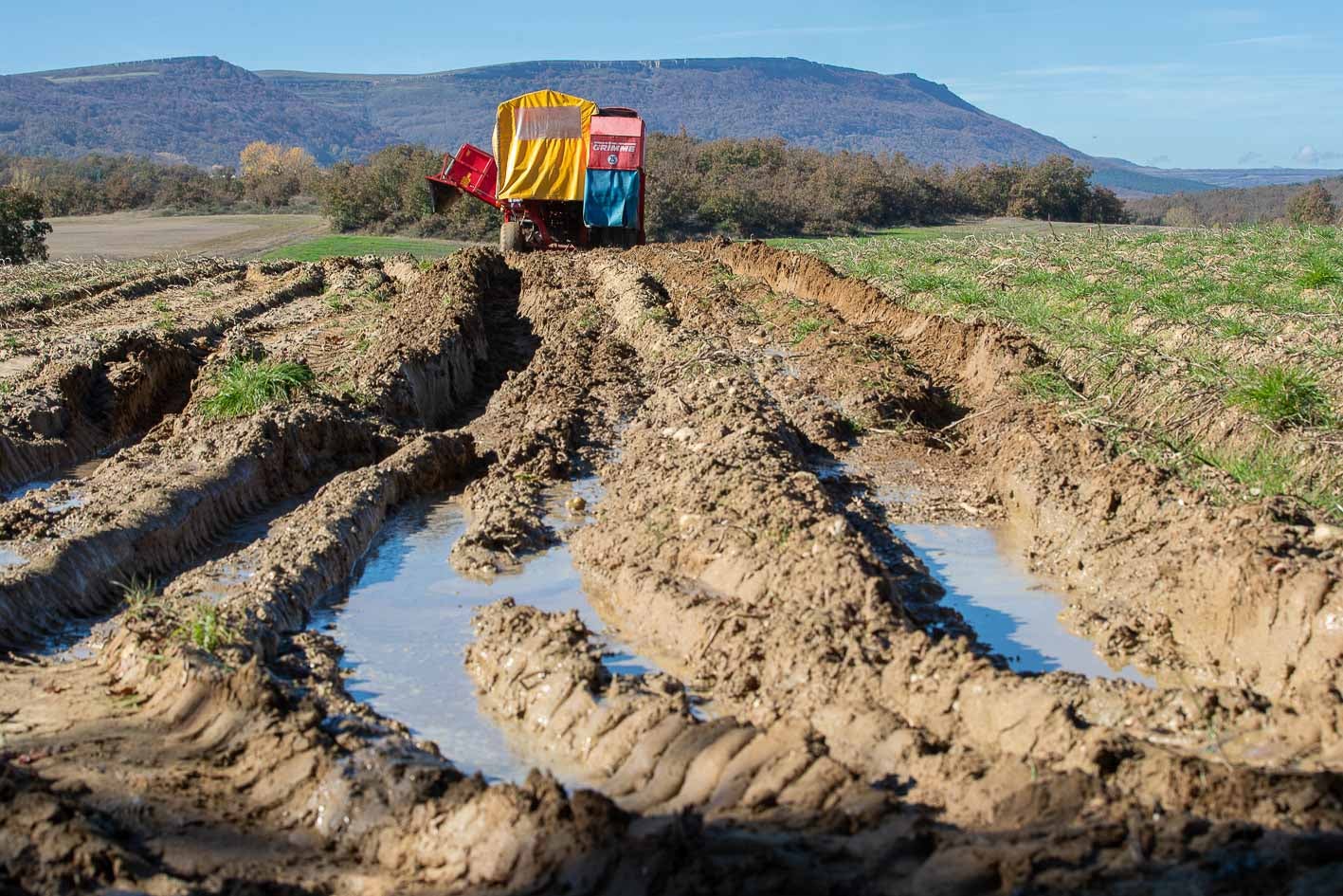 El barro y el agua complican el trabajo de la cosechadora.