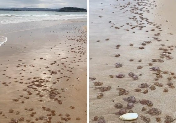 Estampa de la Segunda Playa de El Sardinero, este lunes a las nueve de la mañana.