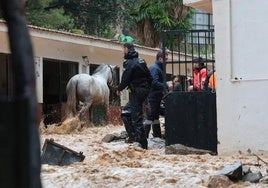 Una imagen tomada mientras que se rescataban los caballos de los establos anegados