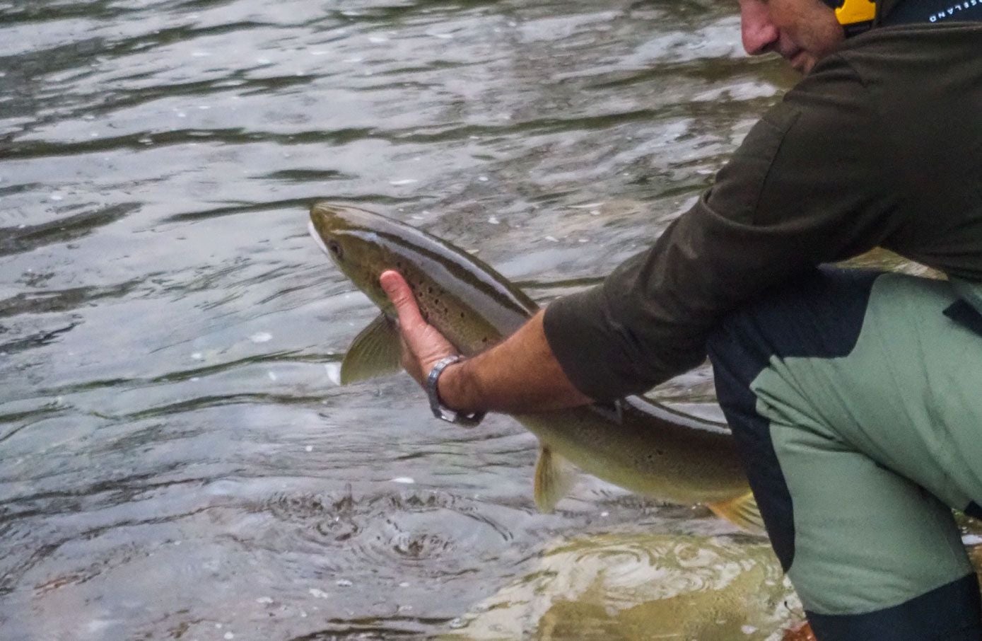 La Consejería de Pesca no es partidaria de vedar totalmente la pesca del salmón, por su gran arraiego en las tradiciones cántabras.