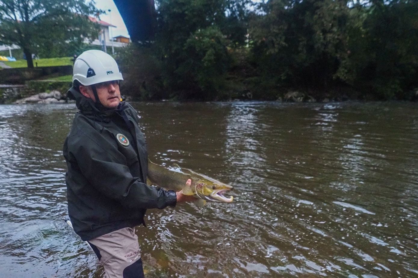 En dos días, los agentes han contabilizado 45 salmones.