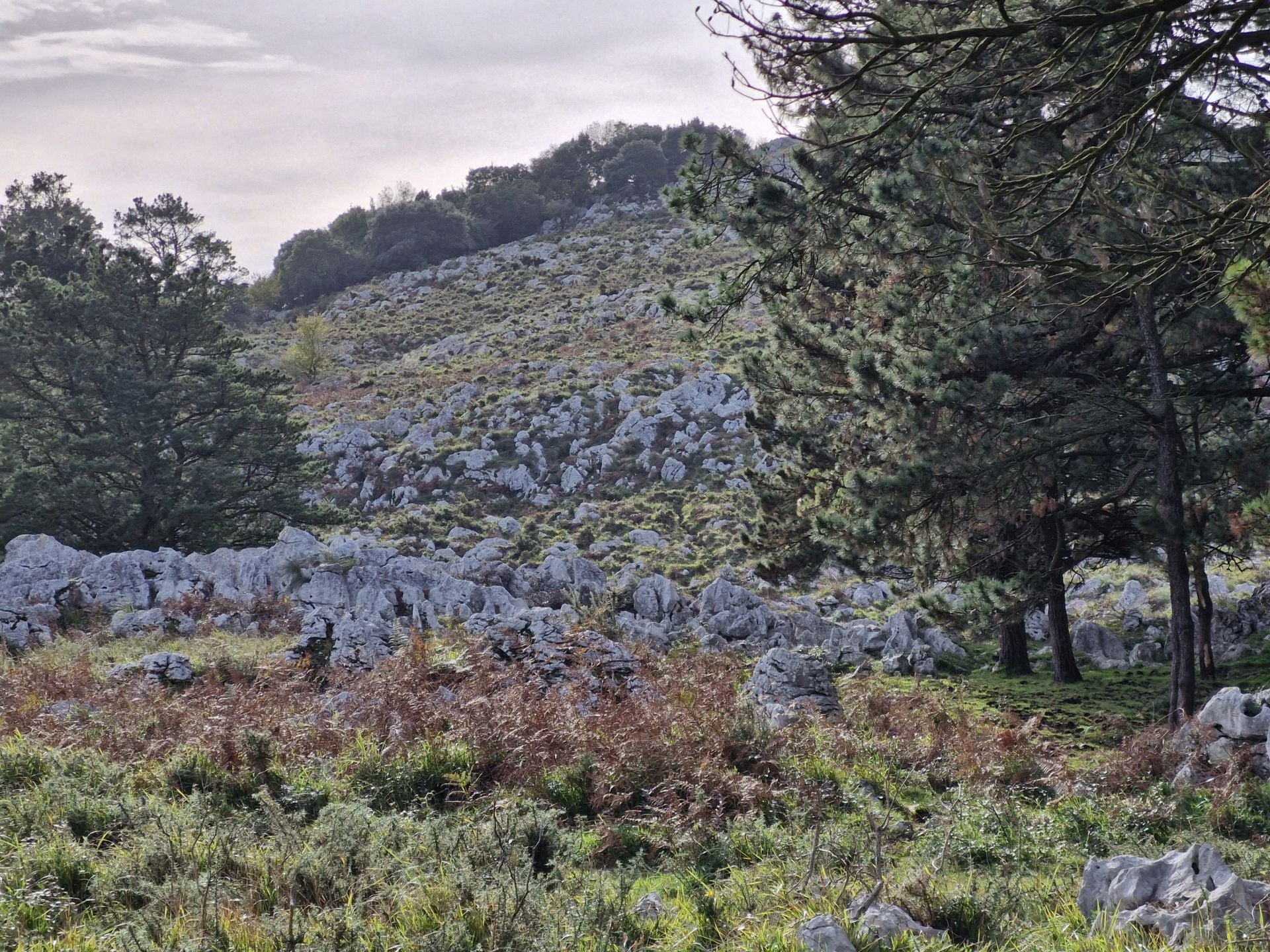 Tras poco más de un kilómetro, el paisaje rocoso avisa de que se está cerca de la cima.