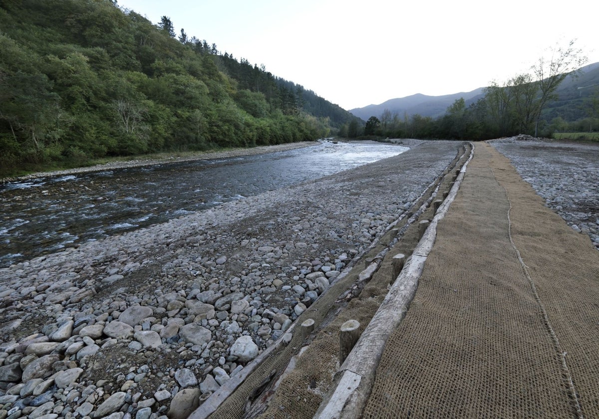 Talud realizado mediante la técnica de bioingeniería en torno al río Saja a su paso por Terán, en Cabuérniga.