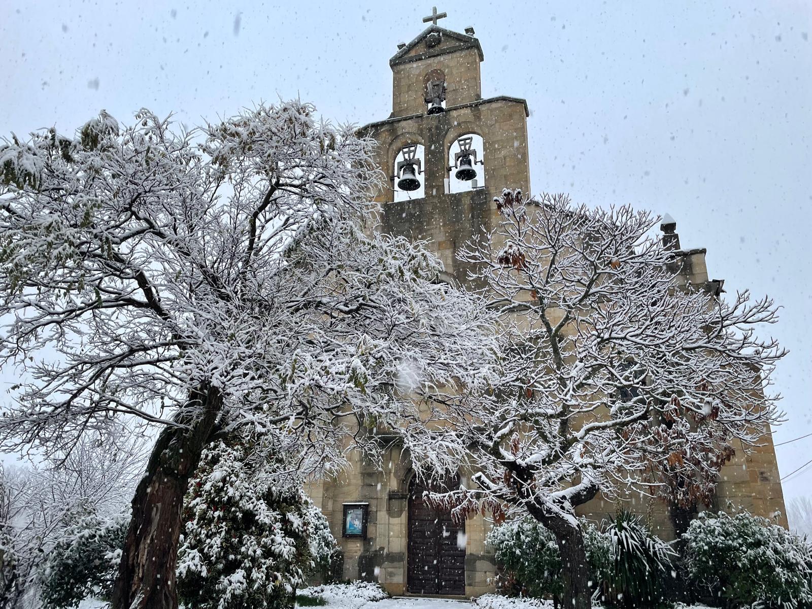 Árbol cubierto de nieve en Rocamundo