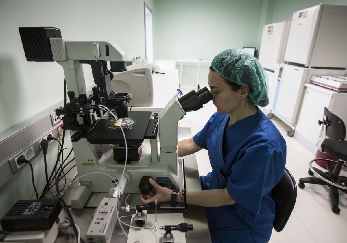 Laboratorio de la Unidad de Reproducción Asistida de Valdecilla.