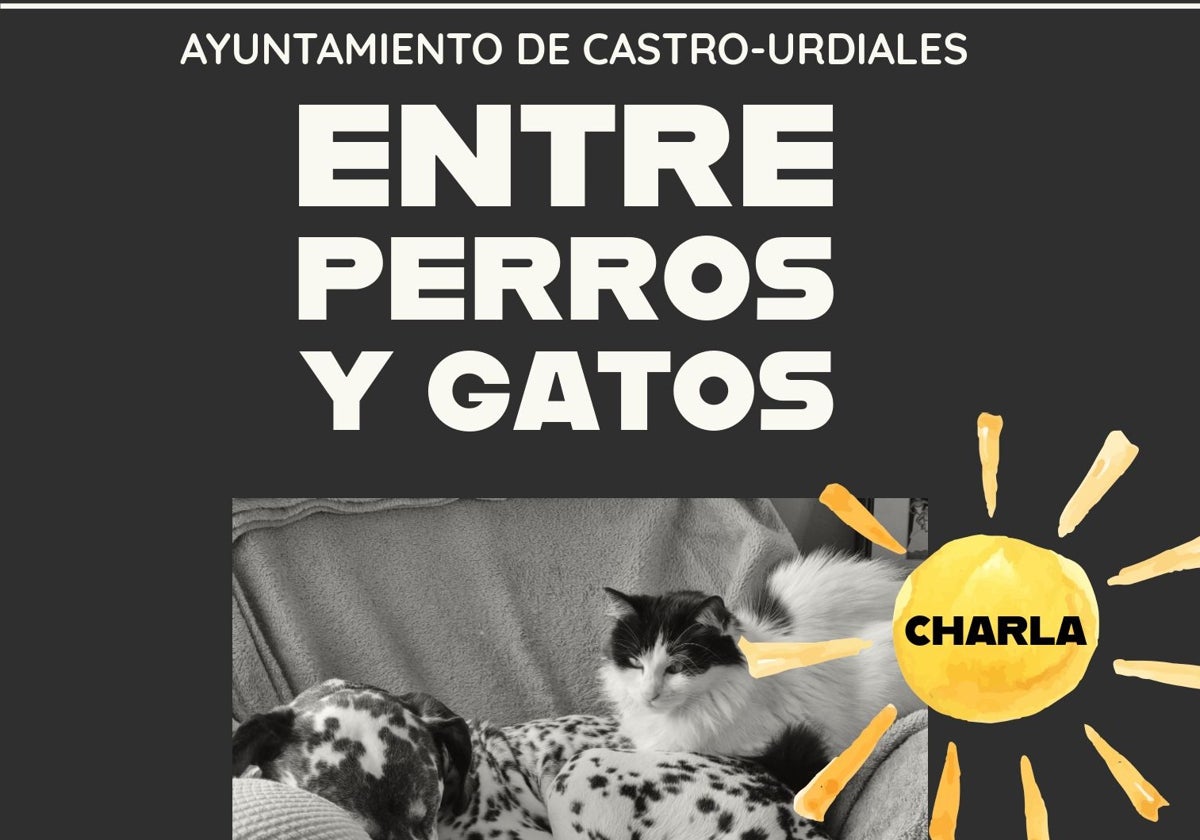 Cartel de la charla.