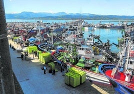 Los pescadores reciben con «sorpresa» la rebaja de un 7% en la costera de la anchoa