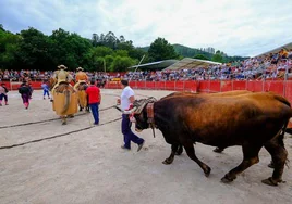 50.000 euros en cinco municipios para luchar contra la despoblación con festejos taurinos