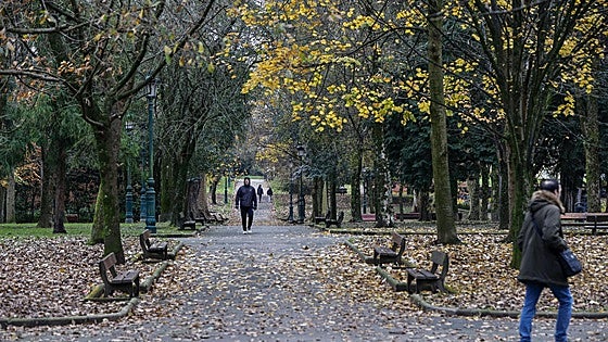 Torrelavega inicia la reforma integral del parque Manuel Barquín con la poda o tala de 223 árboles