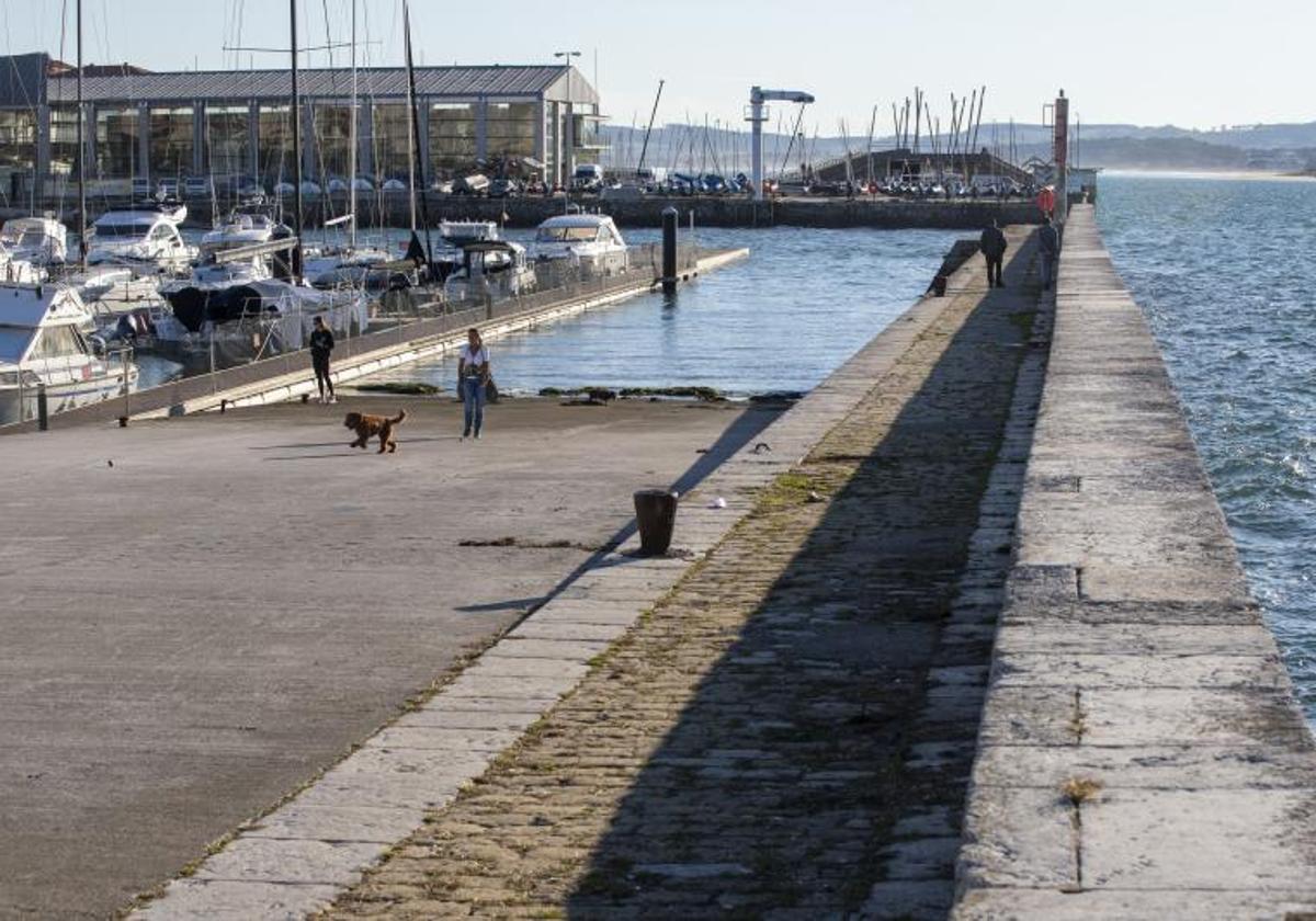 Una mujer pasea a su perro por la zona de Gamazo.