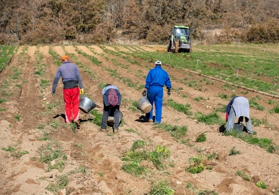 El sector agrario ha sido uno de los más afectados en Cantabria al reducirse en 147 autónomos.