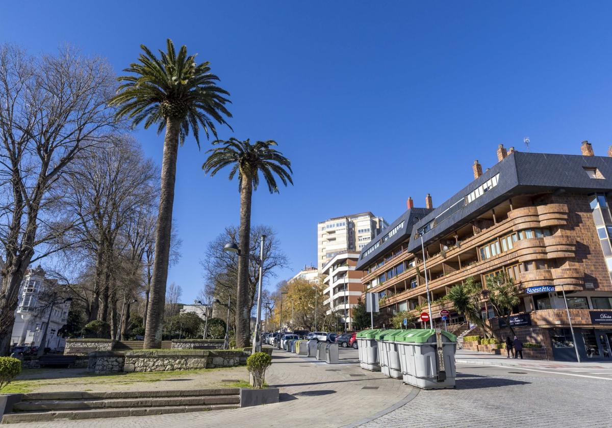 Los Jardines de San Roque cuentan con alguna palmera con signos de la plaga del picudo rojo.