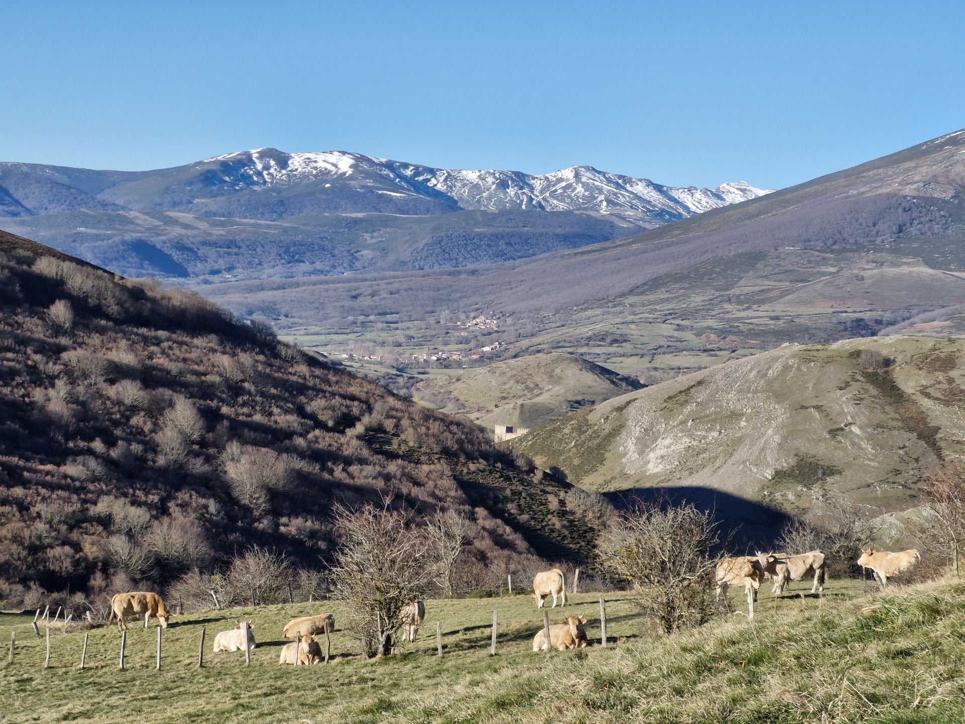 El camino empieza a coger algo de altura, con imponentes vistas de toda la zona, incluido el castillo de Argüeso.