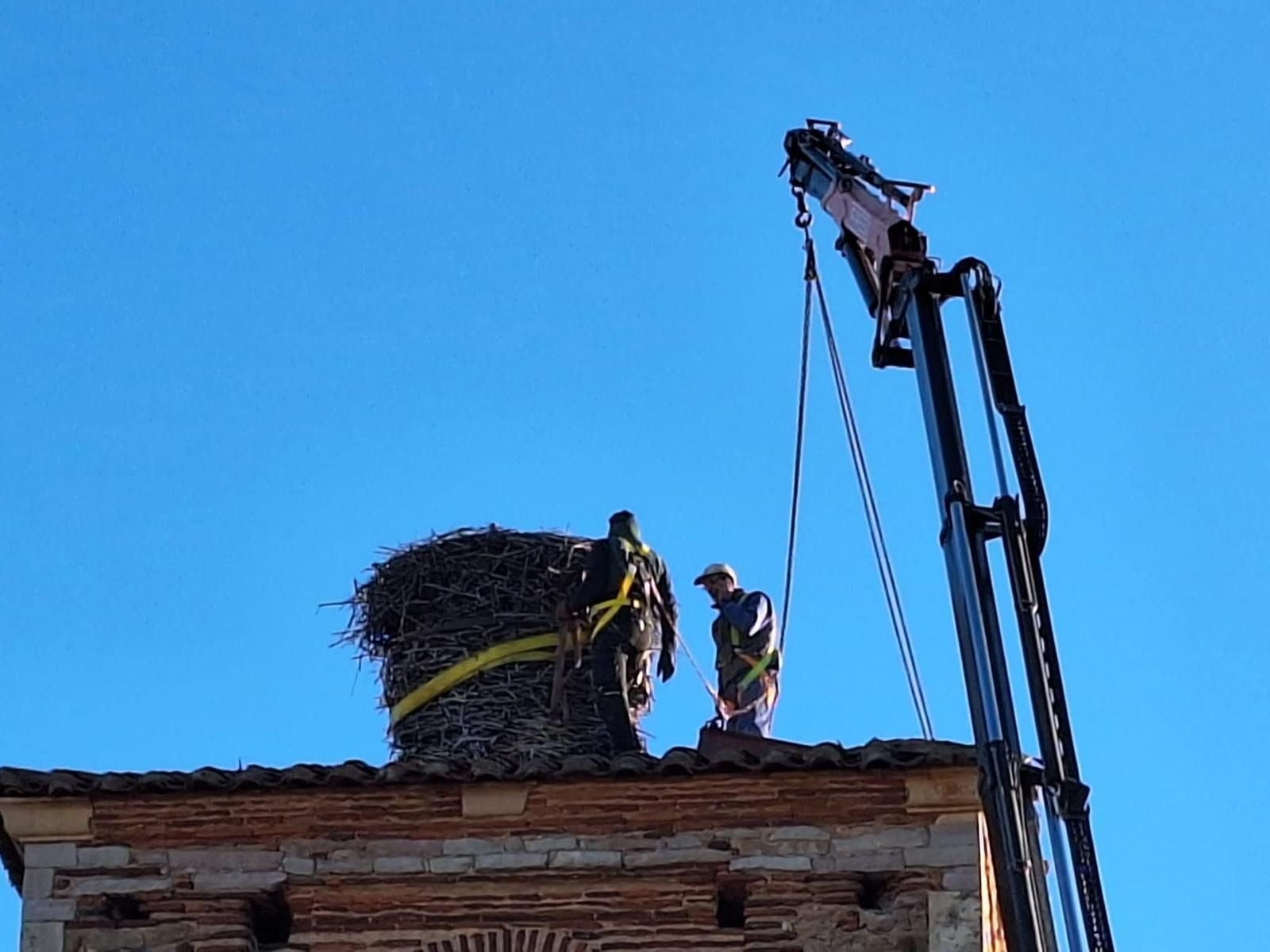 Con un peso estimado de una tonelada y más de un metro y medio de altura, el nido, construido con palos, barro y tierra, había comprometido seriamente la estructura de la torre.