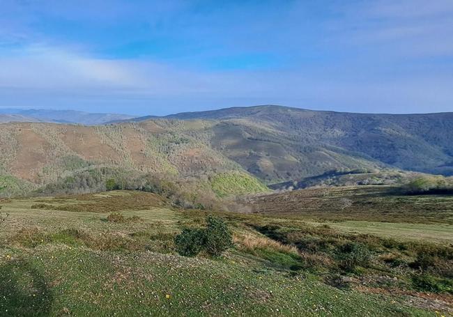 La Braña de Bejes.