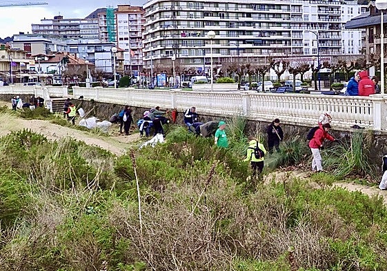 Los voluntarios en la actividad del sábado retirando plumeros del muro del paseo de Laredo.