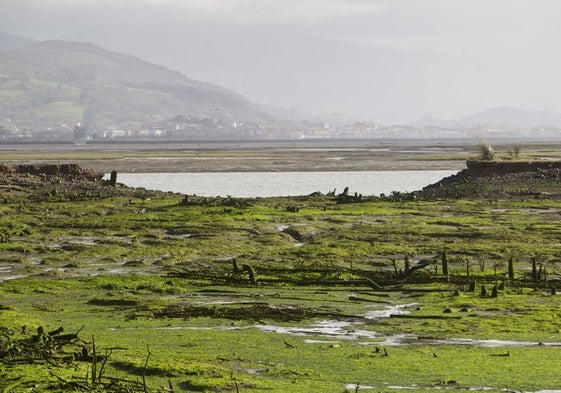 Marismas de Santoña.