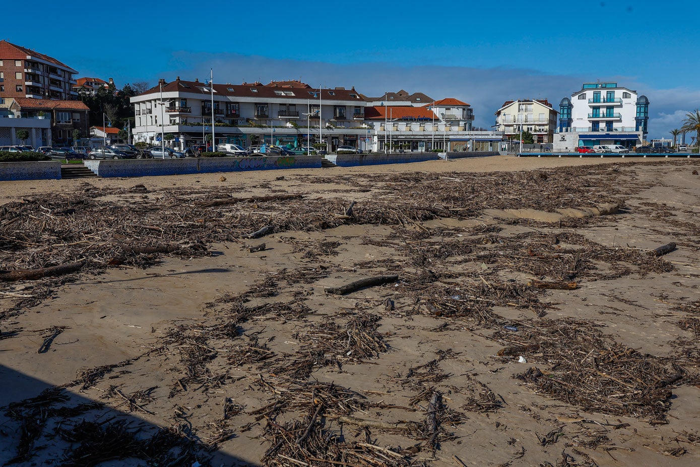 La playa de La Ribera, en Suances, con algas, maleza, quimas y troncos.