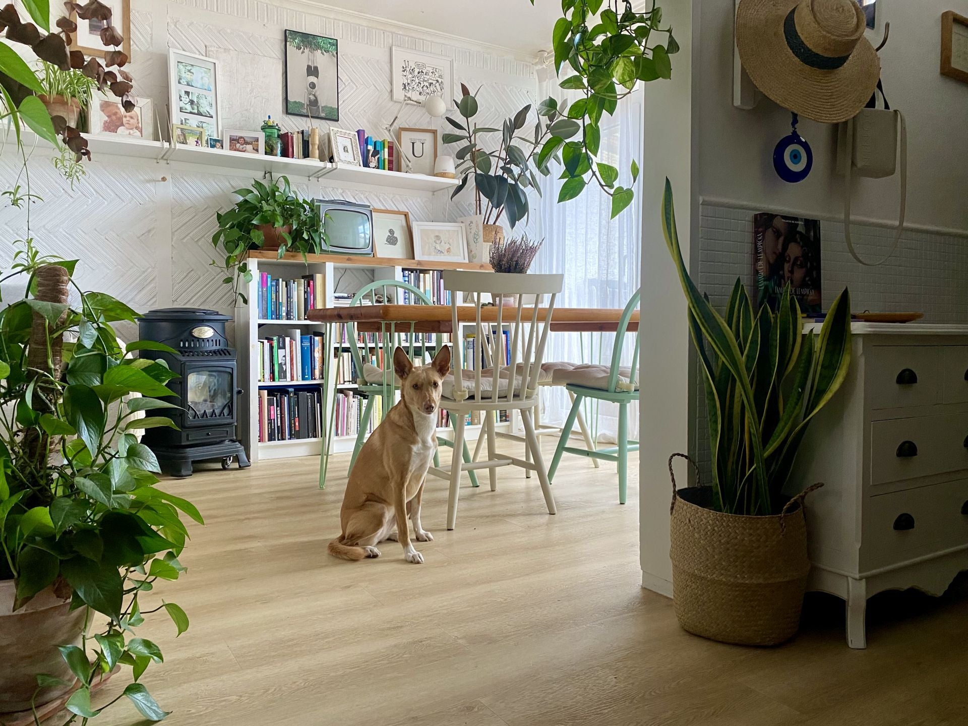 Acogedor salón de una casa ubicada cerca de la playa con plantas abundantes, muebles de madera clara y detalles vintage.