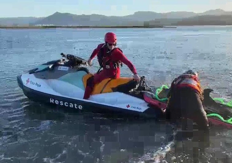 Agentes del Medio Natural rescatan a dos delfines varados en Santoña